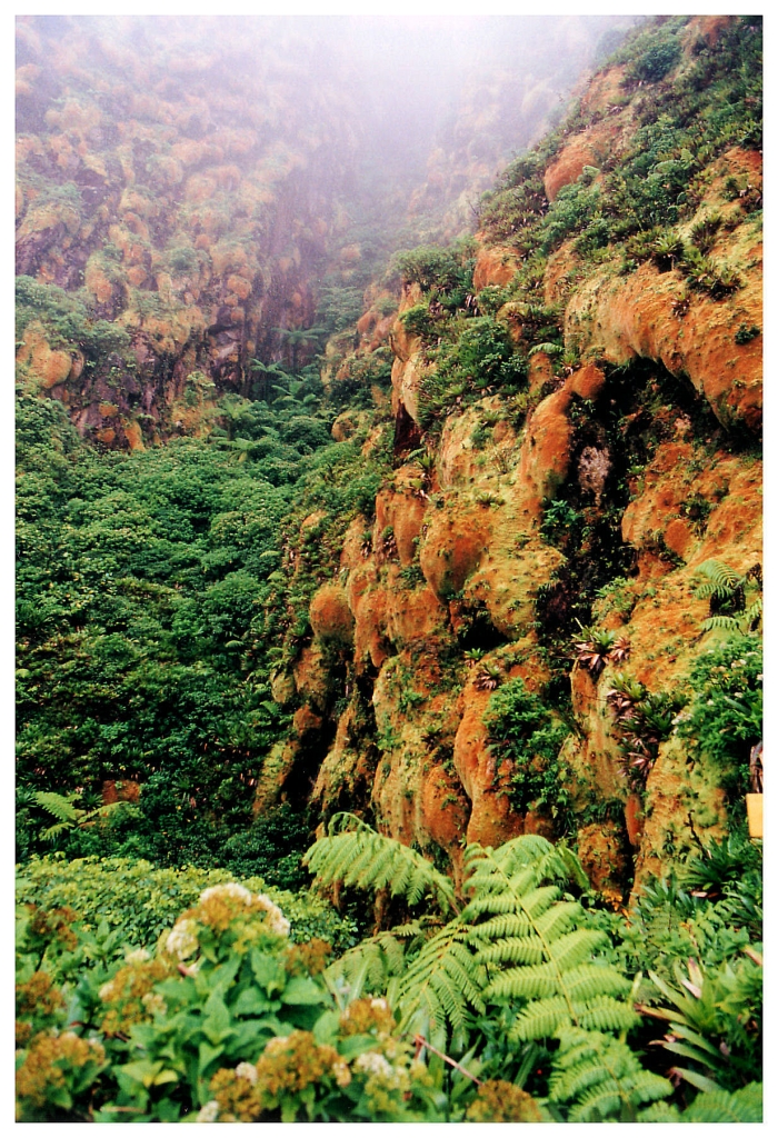 04 - La Soufriere (6).jpg